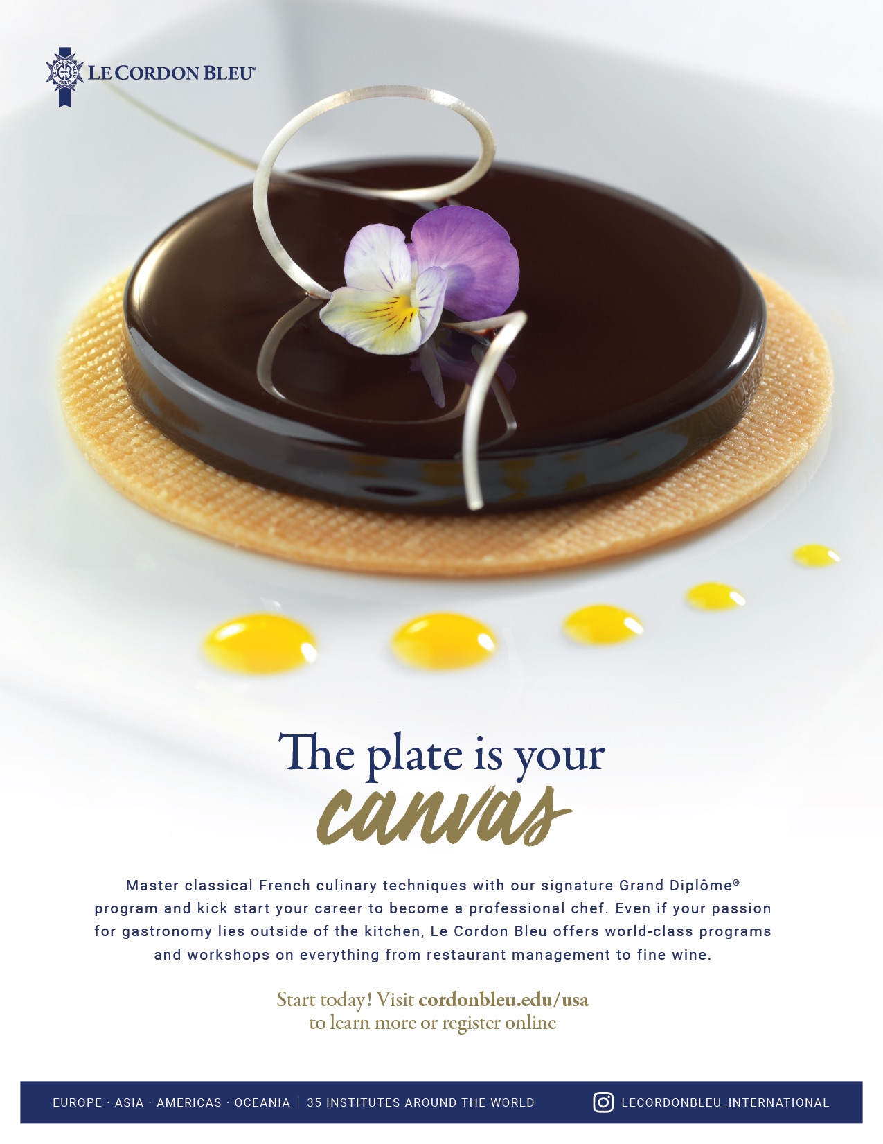 The plate is your canvas, Le Cordon Bleu ad copy