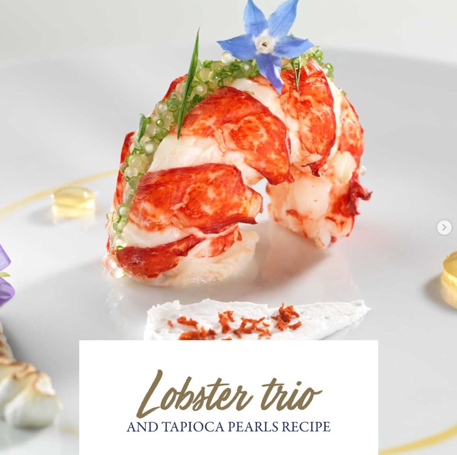 Lobster Trio and Tapioca Pearls Recipe, content strategy example